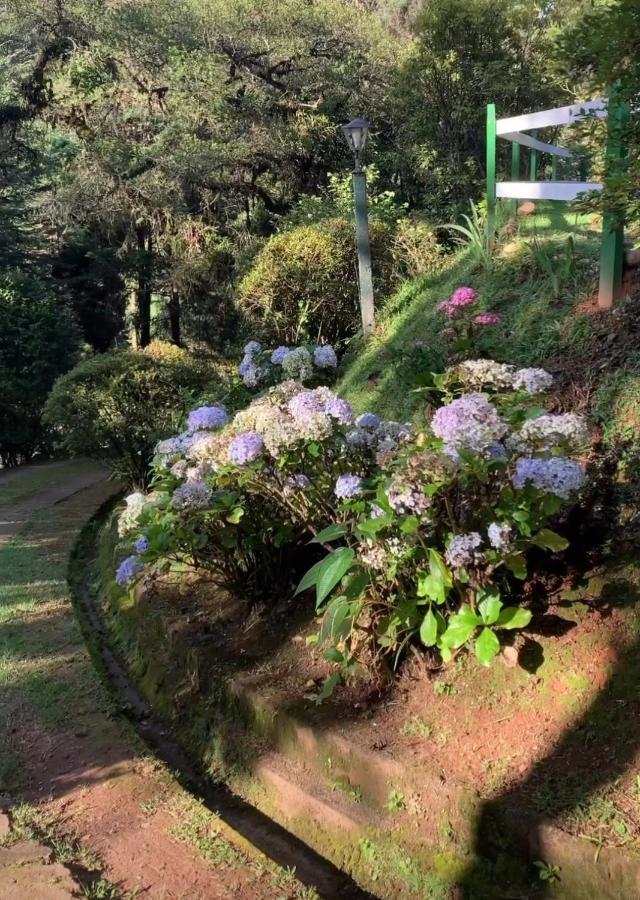 Casa Em Campos Do Jordao - 3 Quartos, Com Churrasqueira Buitenkant foto