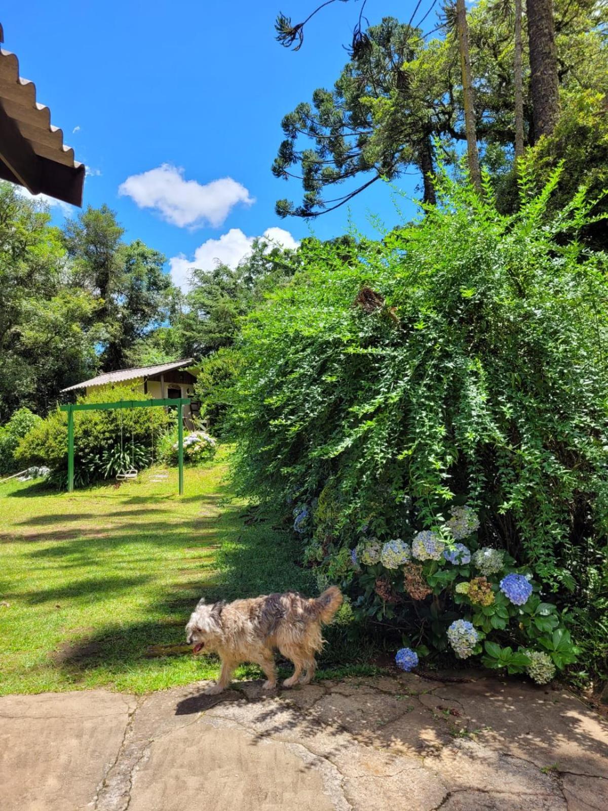 Casa Em Campos Do Jordao - 3 Quartos, Com Churrasqueira Buitenkant foto